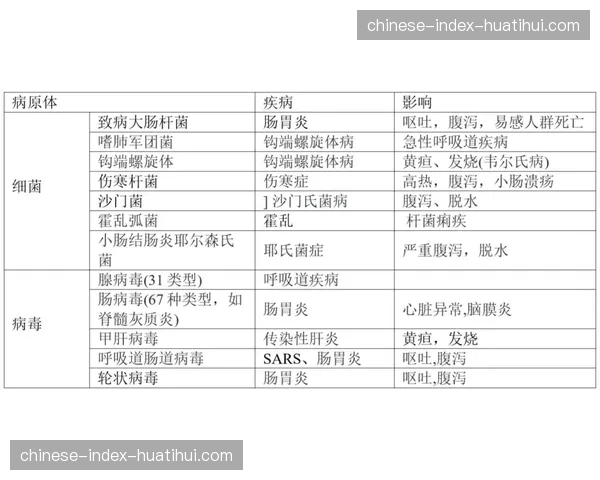 深度调查：发展联盟球队主场设施标准提升计划的执行情况